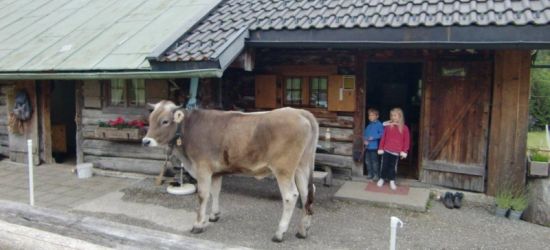 Die Farchanter Alm mit Blick auf die Zugspitze