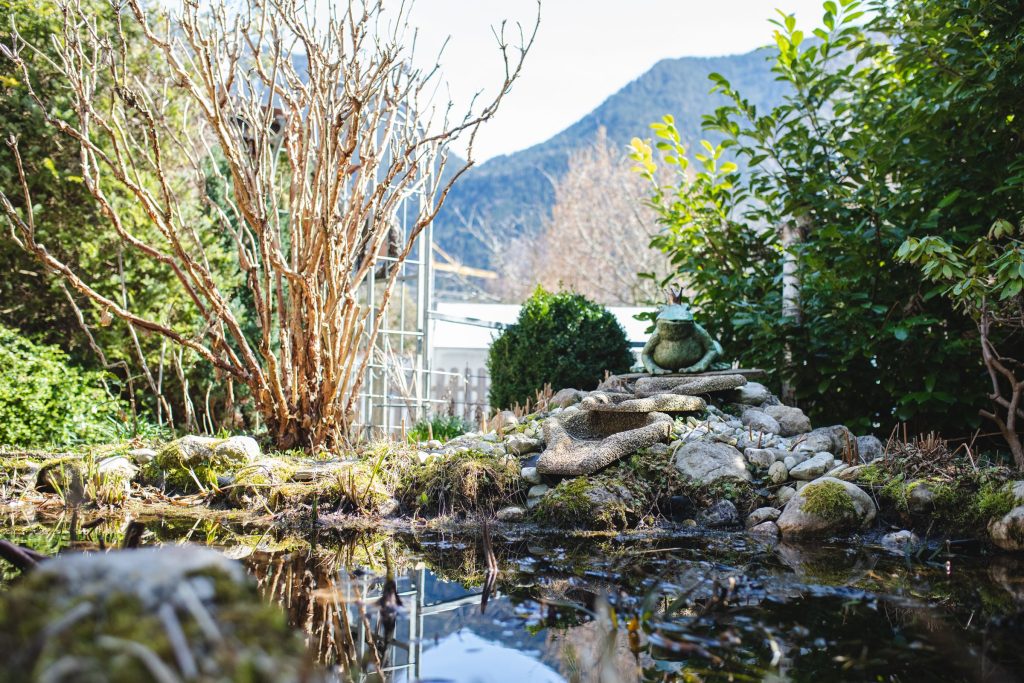 Teich in Ferienwohnung in Garmisch-Partenkirchen