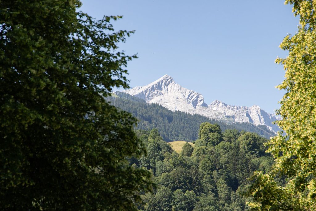 Die Zugspitze zwischen grünen Bäumen in Garmisch-Partenkirchen