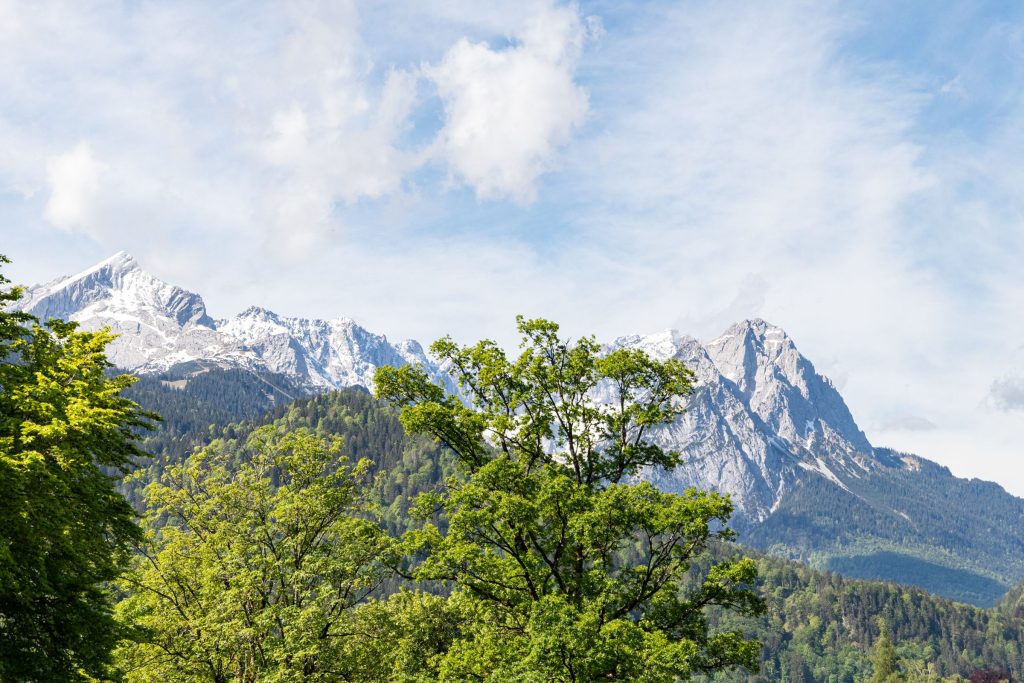 Grüne Bäume und hohe Berge in Garmisch-Partenkirchen