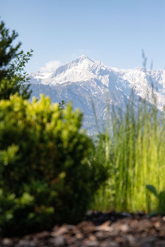 Ausblick auf die Berge und die Natur in Ferienwohnung in Garmisch-Partenkirchen