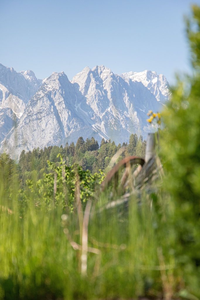 Sicht auf die Berge und die Natur  in Ferienwohnung in Garmisch-Partenkirchen