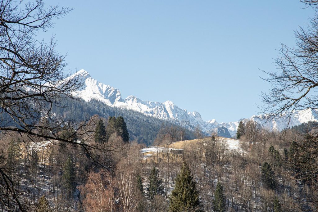 Alpen und Natur in Ferienwohnung in Garmisch-Partenkirchen