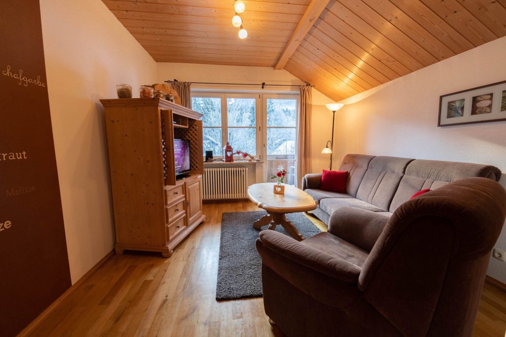 Sofa und Schrank mit Fernseher in Ferienwohnung in Garmisch-Partenkirchen