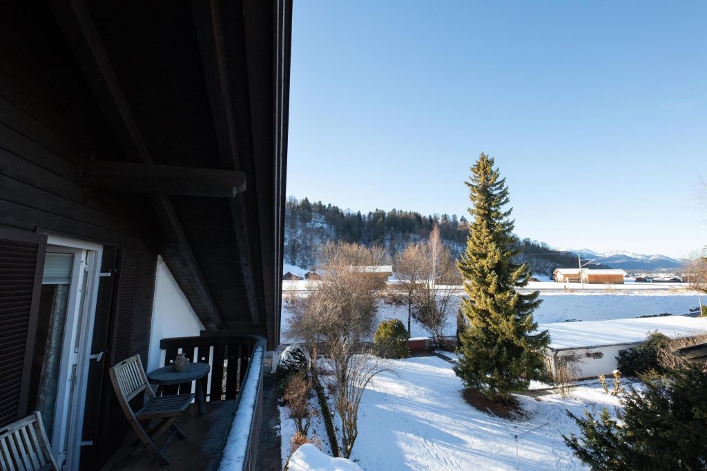 Große Tanne in Garten von Ferienwohnung in Garmisch-Partenkirchen