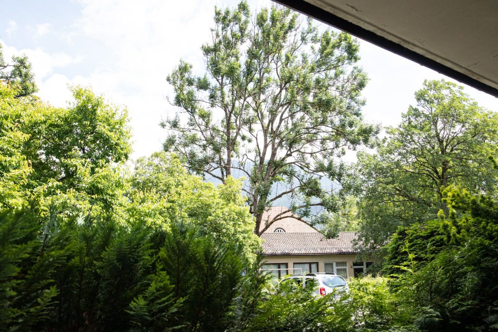 Ausblick in Ferienwohnung in Garmisch-Partenkirchen