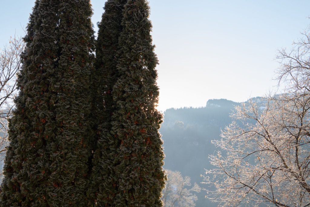 Aussicht am Morgen in Ferienwohnung in Garmisch-Partenkirchen