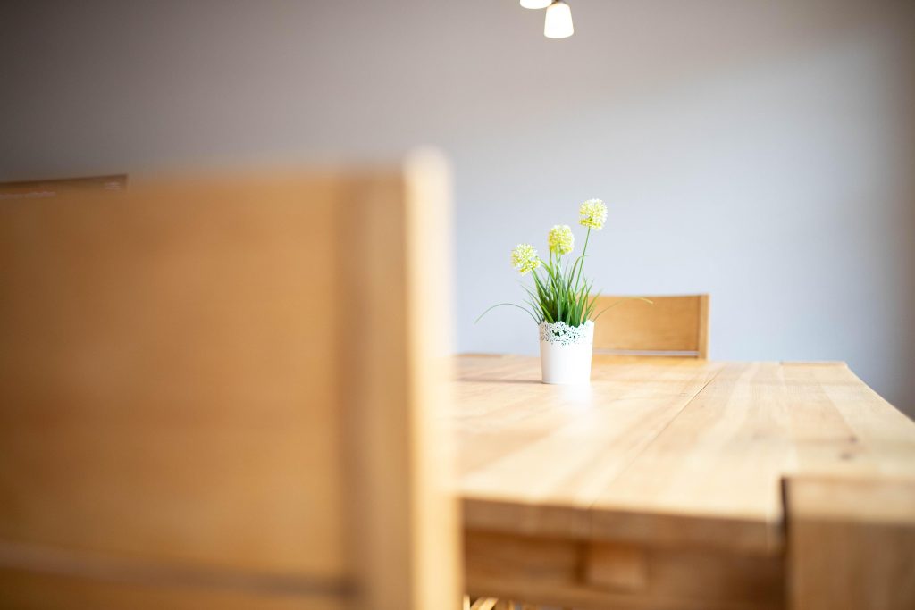 Pflanze auf Esstisch im Fokus in Ferienwohnung in Garmisch-Partenkirchen